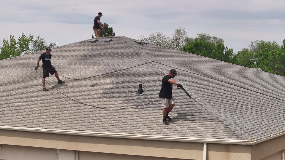 Hose-fed GoNano on a Utah shingle roof, treated shingles next to shingles not yet treated.